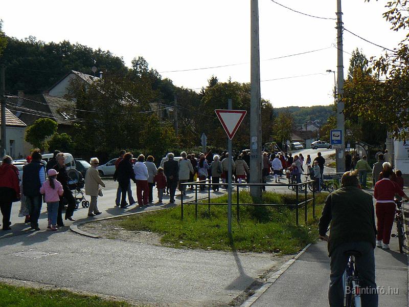 szuretifelvonulas_2008_026.jpg