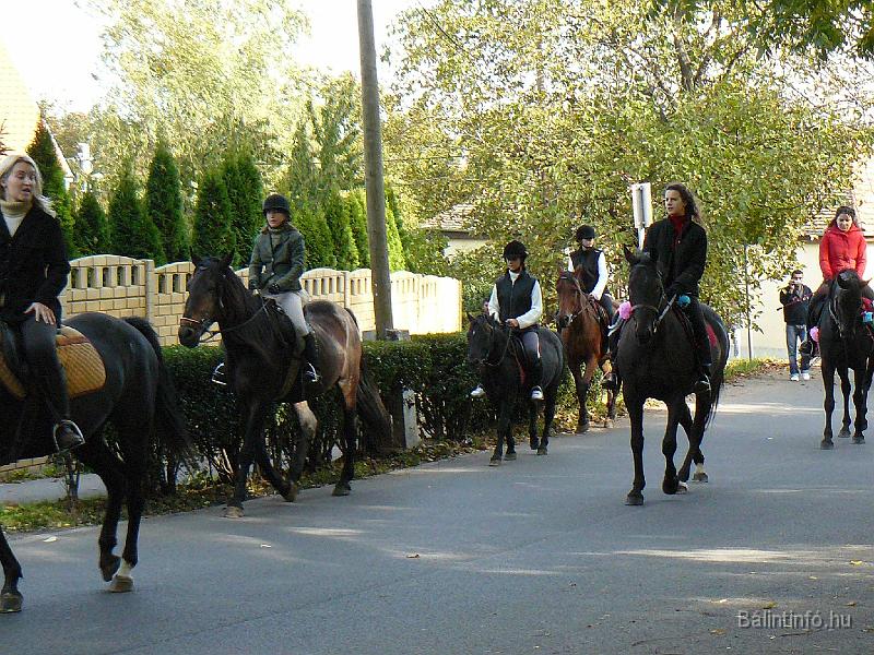 szuretifelvonulas_2008_032.jpg
