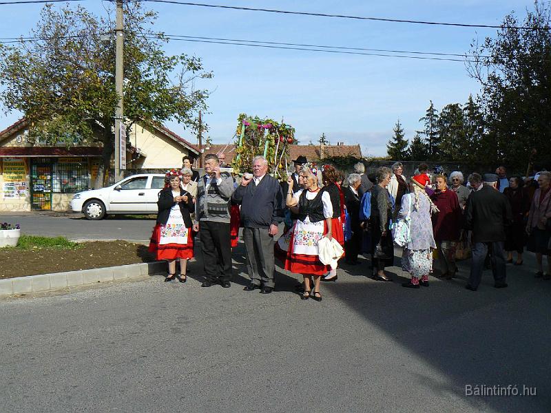 szuretifelvonulas_2008_038.jpg