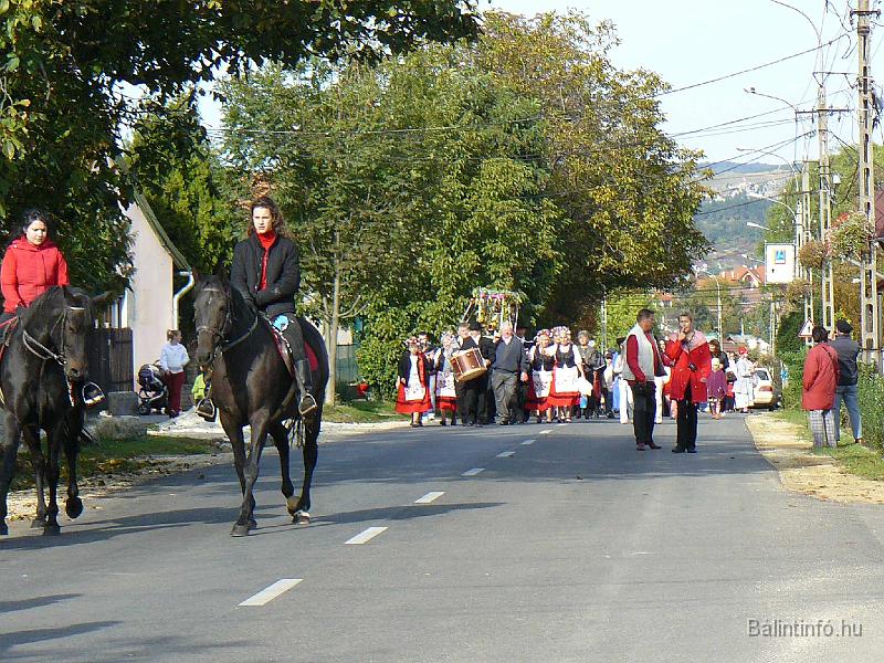 szuretifelvonulas_2008_051.jpg