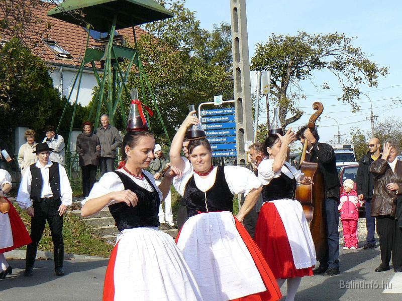 szuretifelvonulas_2008_065.jpg