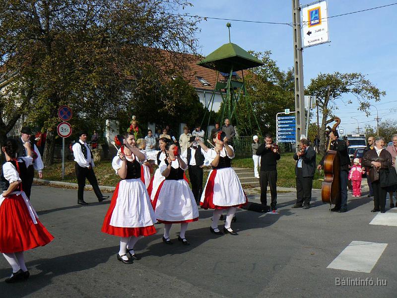 szuretifelvonulas_2008_067.jpg