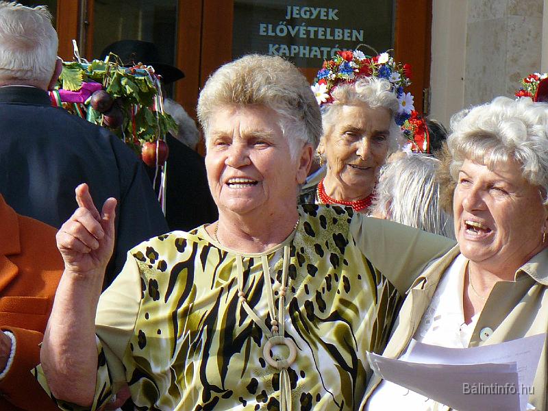 szuretifelvonulas_2008_096.jpg