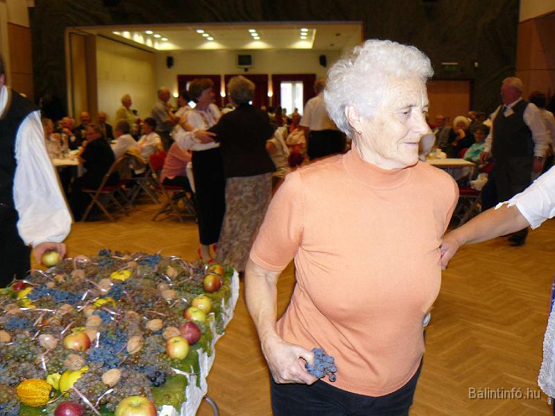 szuretifelvonulas_2008_139.jpg