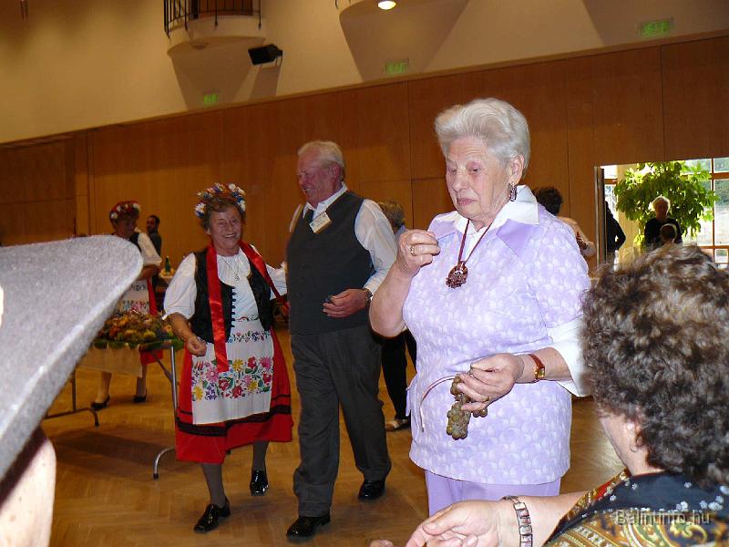 szuretifelvonulas_2008_141.jpg